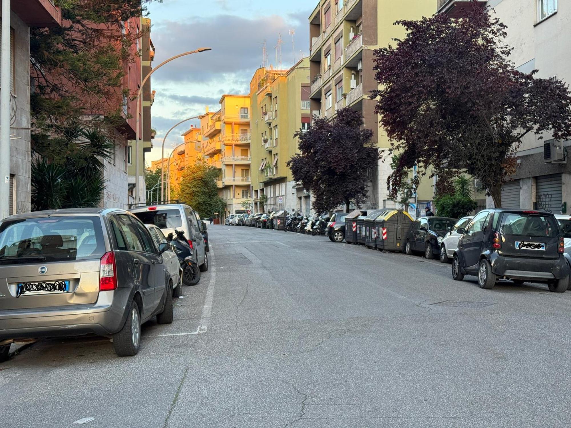 Angoletto Di Mirtilla Roma